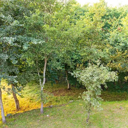 Gospodarstwo wiejskie Casa Rural Yoruba *