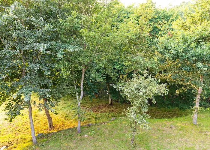 Landhuis Casa Rural Yoruba *